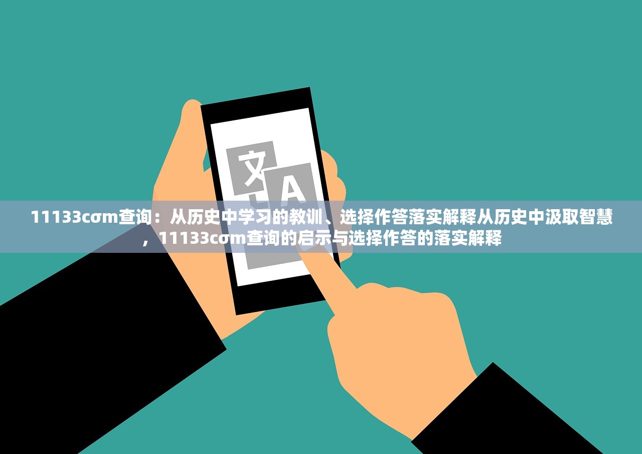 11133cσm查询：从历史中学习的教训、选择作答落实解释从历史中汲取智慧，11133cσm查询的启示与选择作答的落实解释