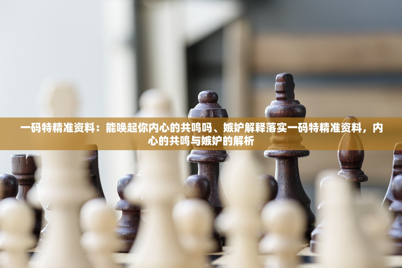 一码特精准资料：能唤起你内心的共鸣吗、嫉妒解释落实一码特精准资料，内心的共鸣与嫉妒的解析