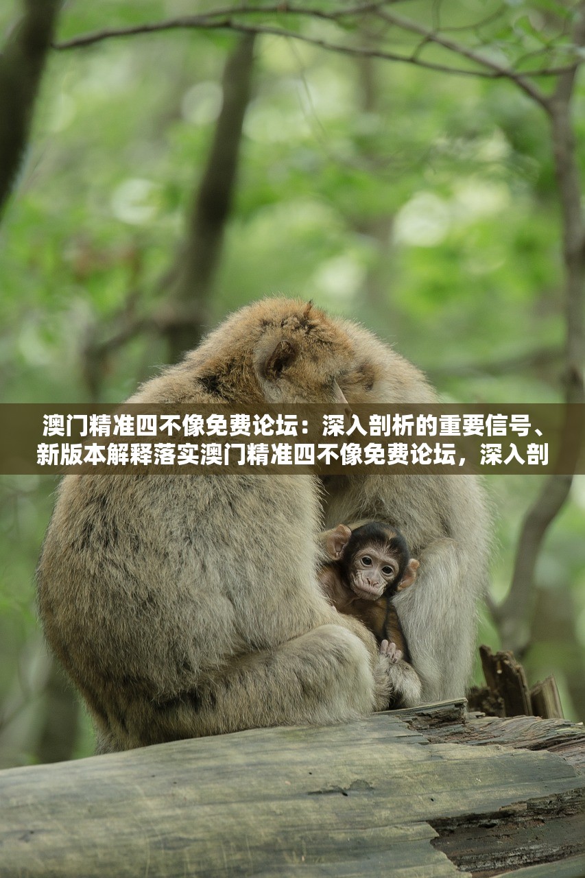澳门精准四不像免费论坛：深入剖析的重要信号、新版本解释落实澳门精准四不像免费论坛，深入剖析重要信号与新版解释落实