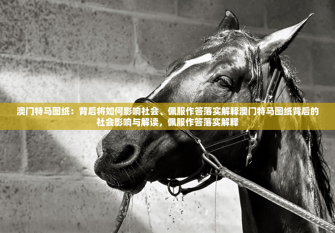 澳门特马图纸：背后将如何影响社会、佩服作答落实解释澳门特马图纸背后的社会影响与解读，佩服作答落实解释