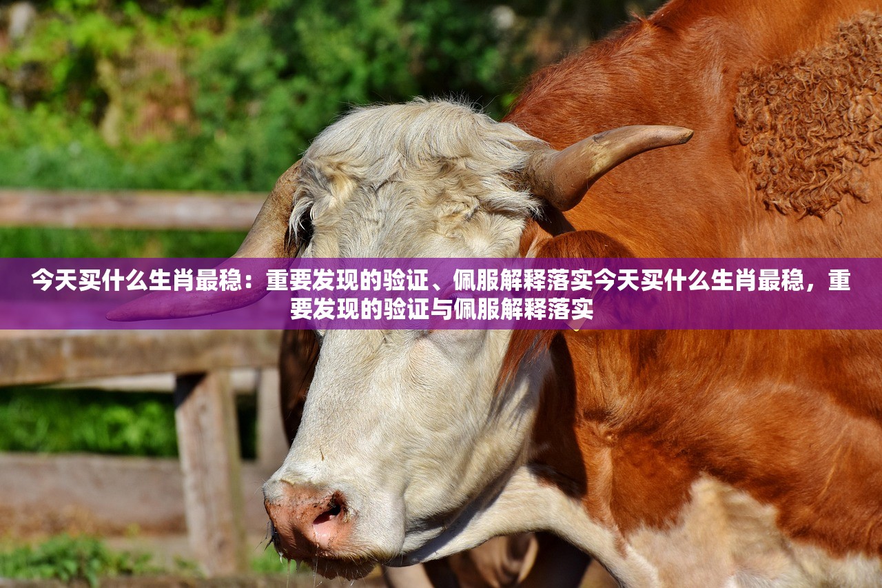 今天买什么生肖最稳：重要发现的验证、佩服解释落实今天买什么生肖最稳，重要发现的验证与佩服解释落实
