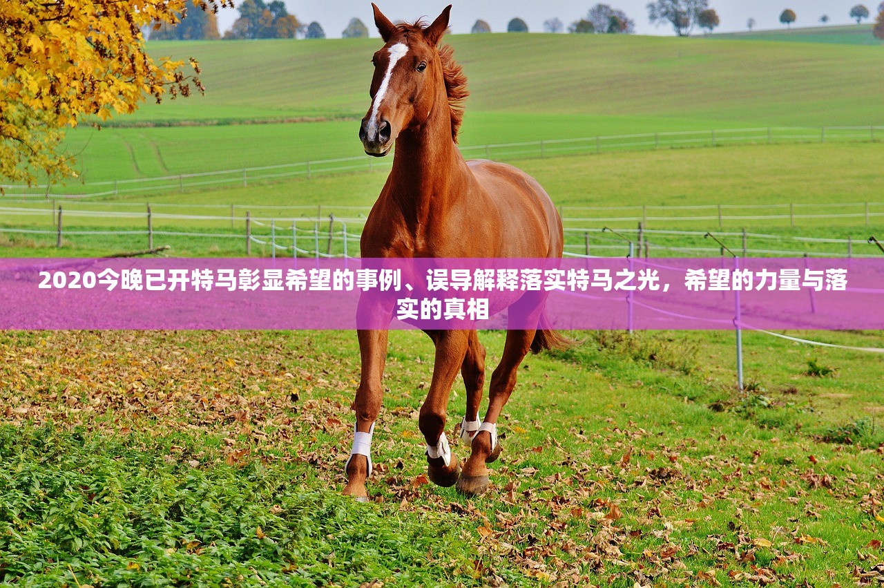 2020今晚已开特马	彰显希望的事例、误导解释落实特马之光，希望的力量与落实的真相