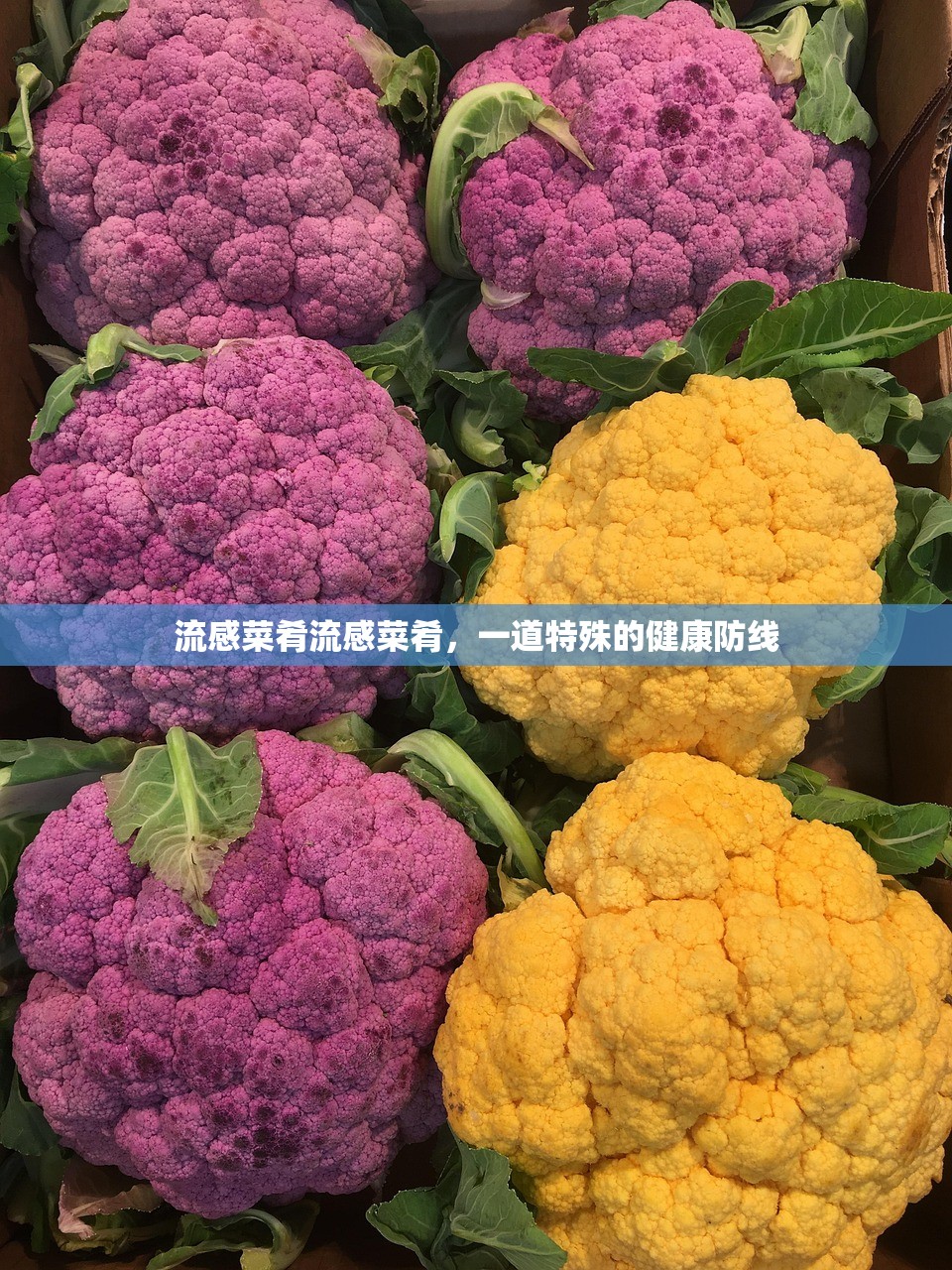 流感菜肴流感菜肴，一道特殊的健康防线
