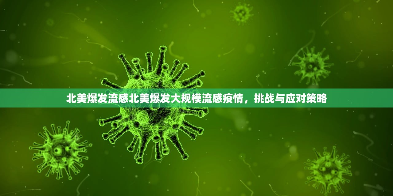 北美爆发流感北美爆发大规模流感疫情，挑战与应对策略