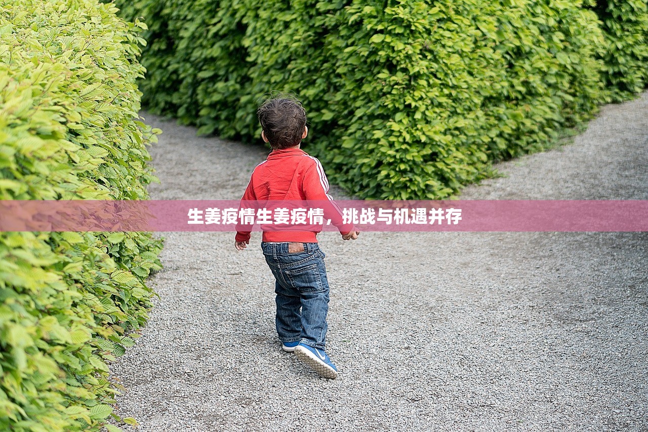 生姜疫情生姜疫情，挑战与机遇并存