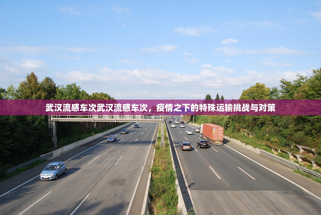 武汉流感车次武汉流感车次，疫情之下的特殊运输挑战与对策