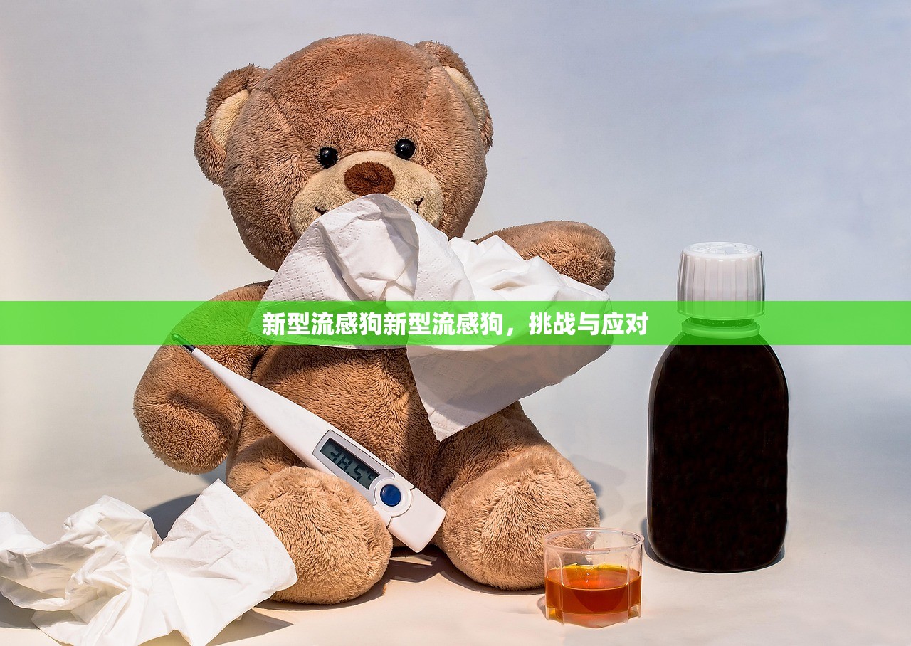 新型流感狗新型流感狗,挑战与应对 新型流感狗新型流感狗,挑战与应对