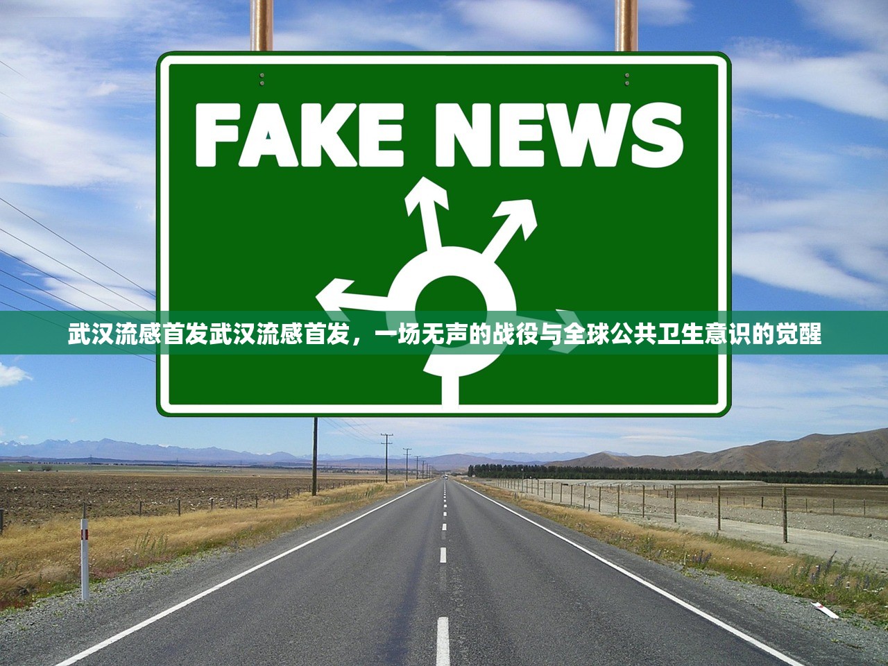 武汉流感首发武汉流感首发，一场无声的战役与全球公共卫生意识的觉醒