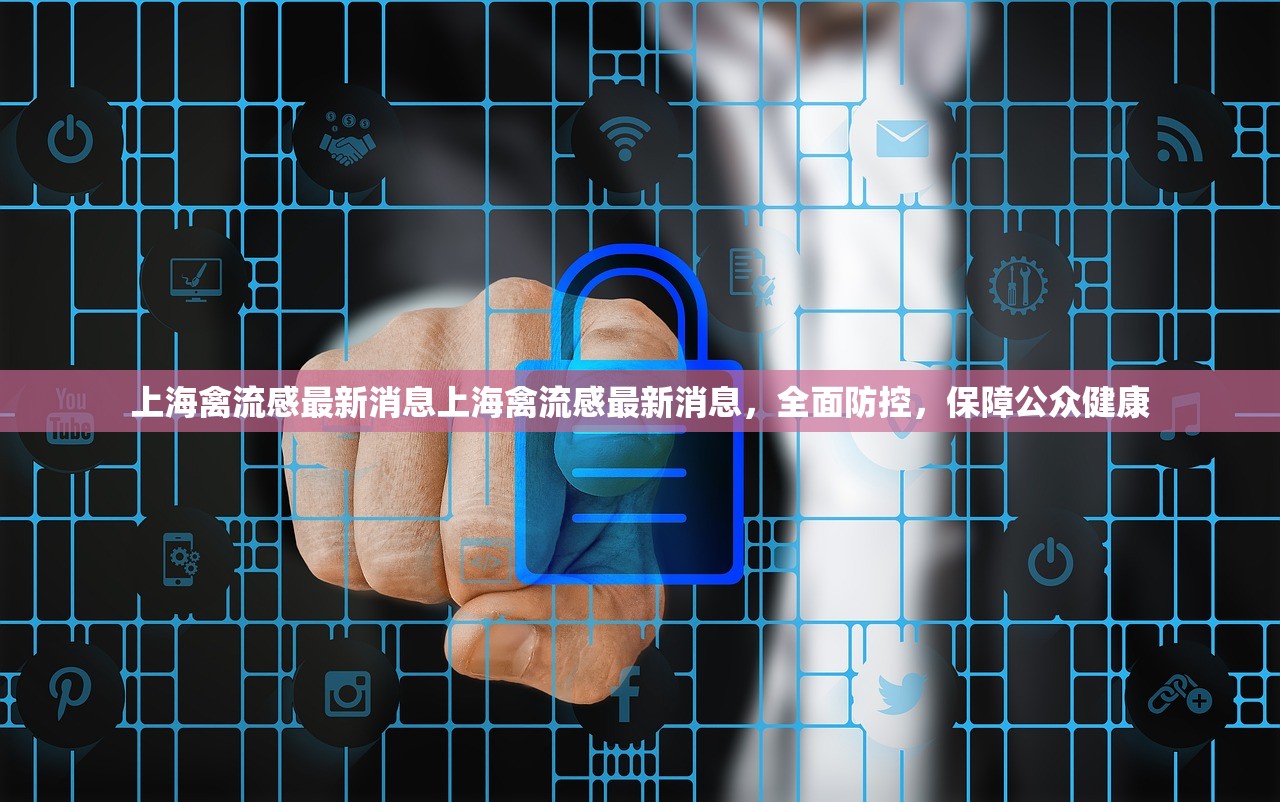 上海禽流感最新消息上海禽流感最新消息，全面防控，保障公众健康