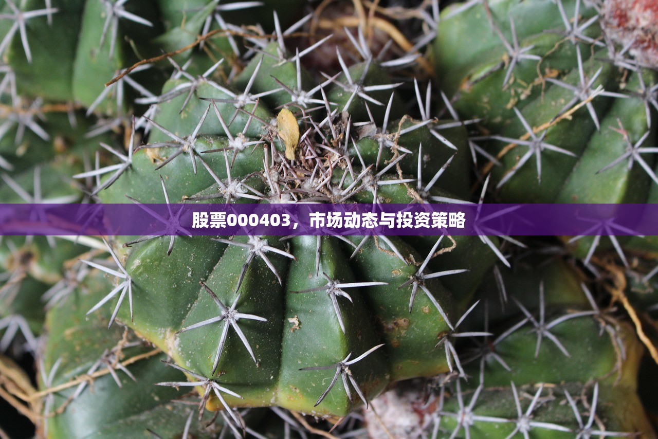 股票000403，市场动态与投资策略