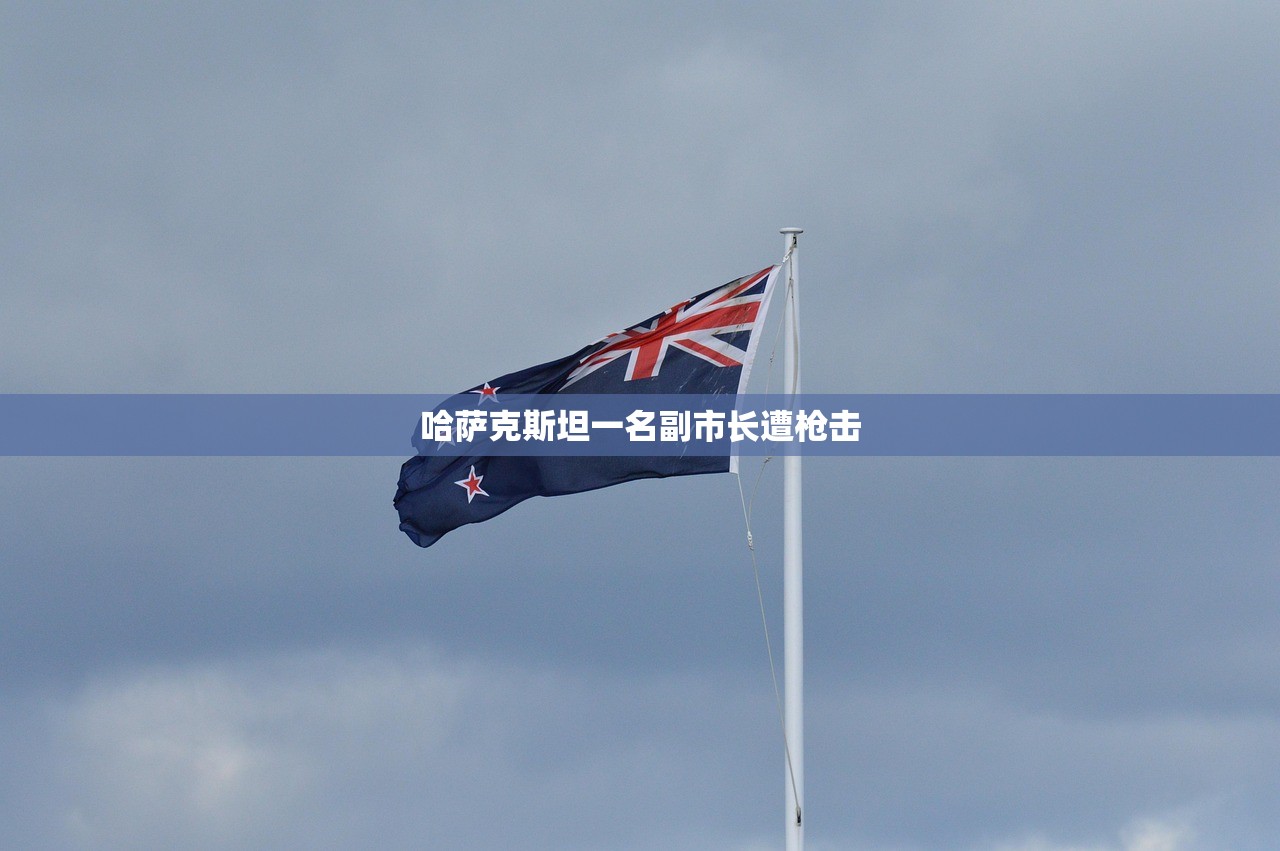 哈萨克斯坦一名副市长遭枪击