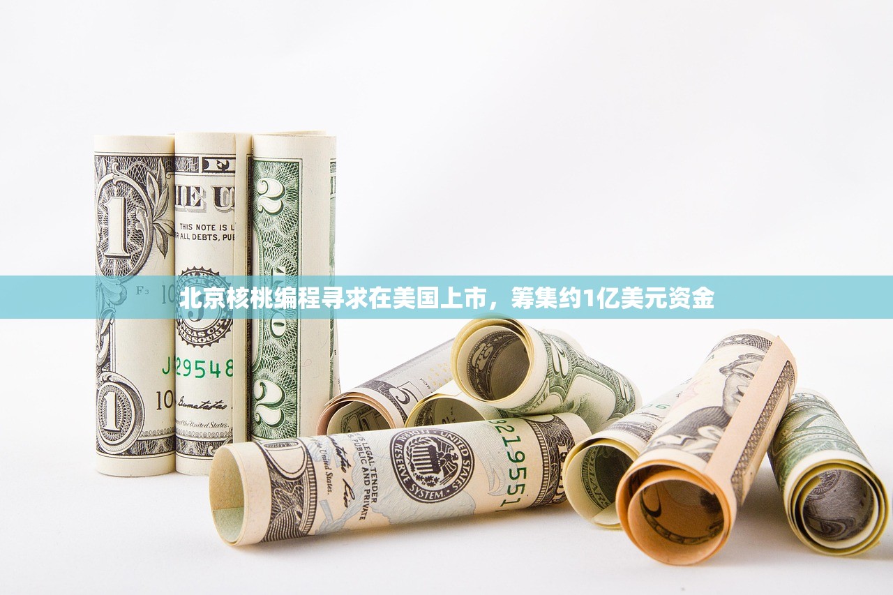 北京核桃编程寻求在美国上市，筹集约1亿美元资金