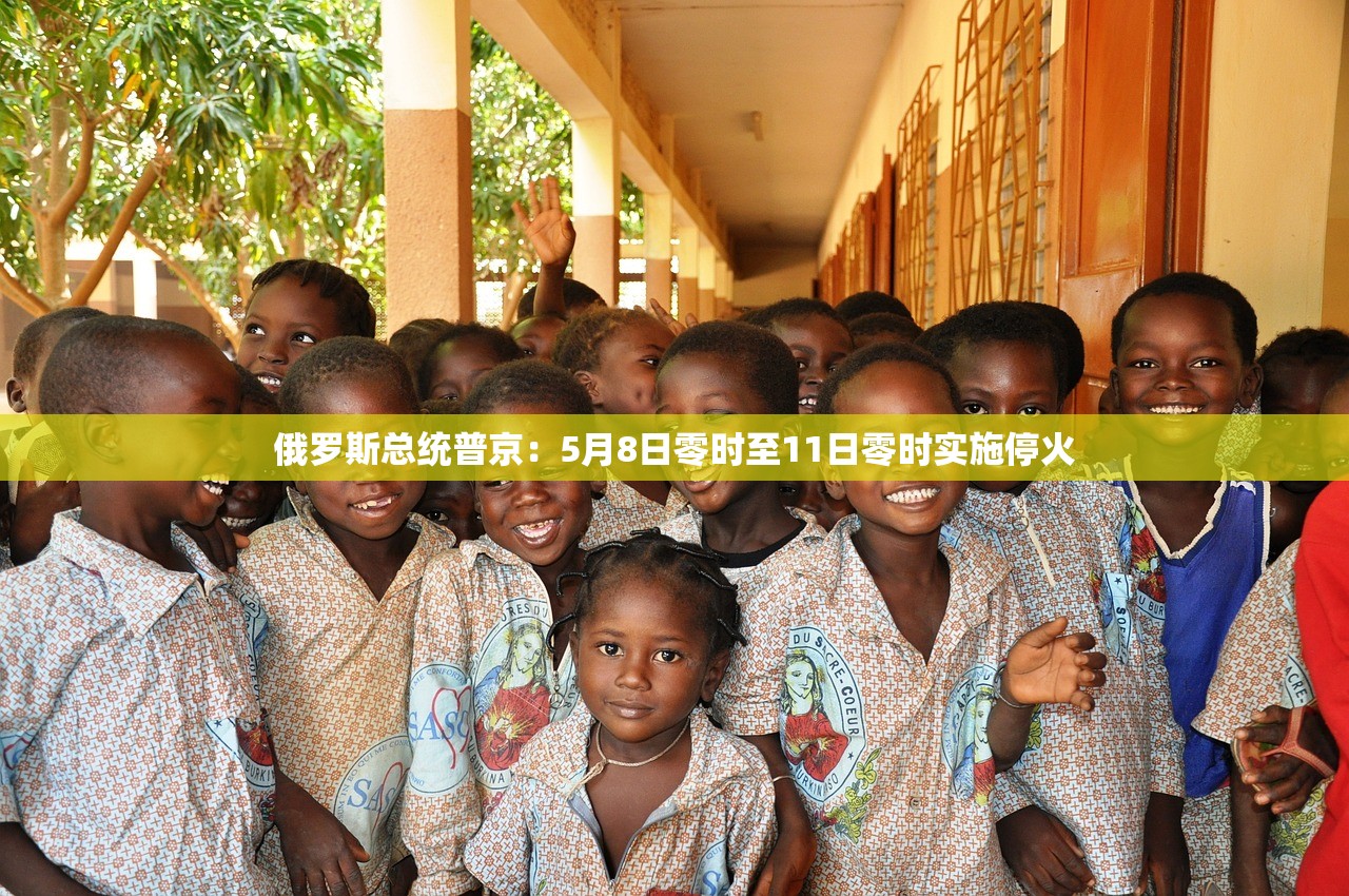 俄罗斯总统普京：5月8日零时至11日零时实施停火