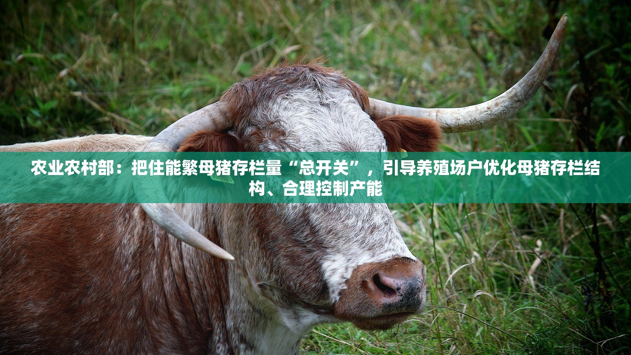 农业农村部：把住能繁母猪存栏量“总开关”，引导养殖场户优化母猪存栏结构、合理控制产能
