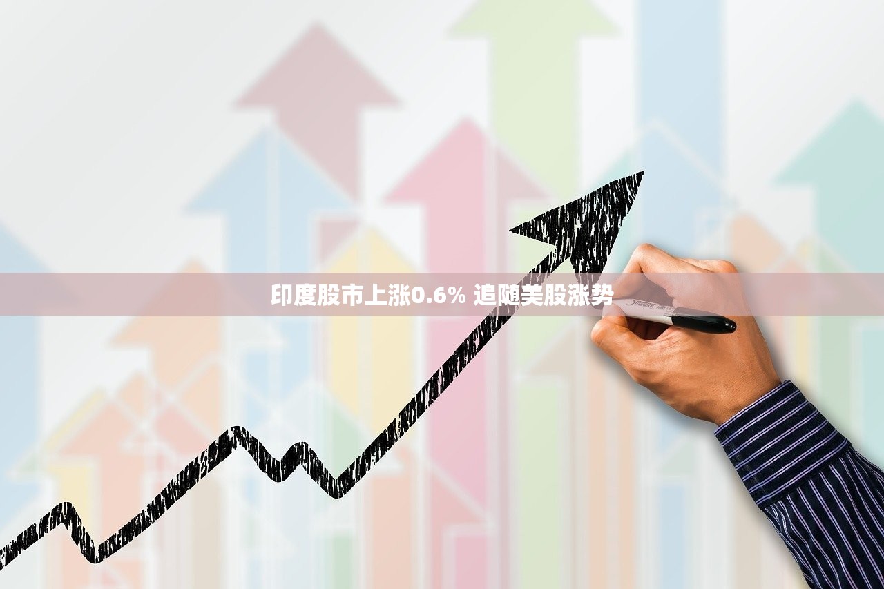 印度股市上涨0.6% 追随美股涨势
