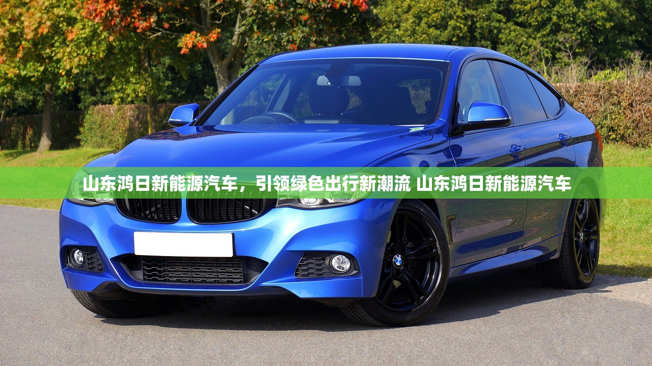 山东鸿日新能源汽车，引领绿色出行新潮流 山东鸿日新能源汽车