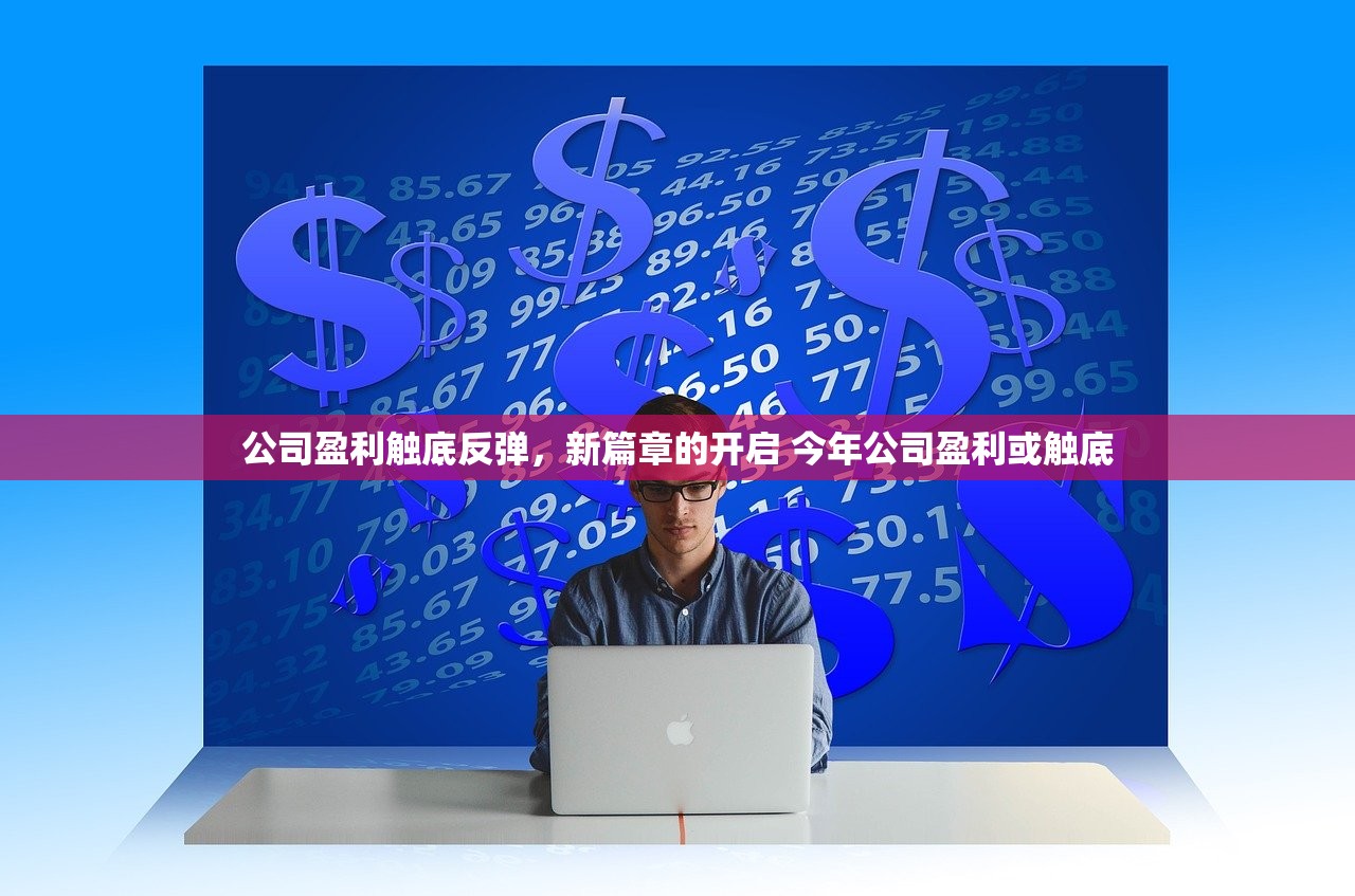 公司盈利触底反弹，新篇章的开启 今年公司盈利或触底
