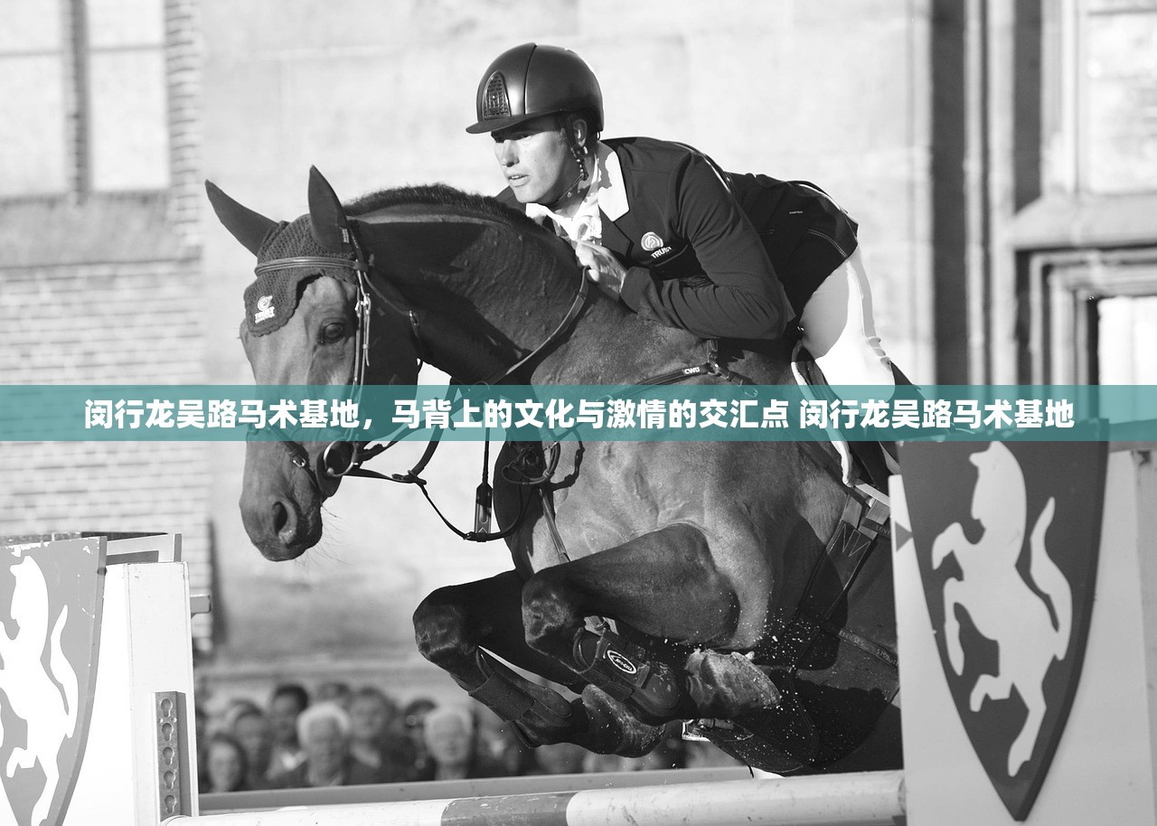 闵行龙吴路马术基地，马背上的文化与激情的交汇点 闵行龙吴路马术基地