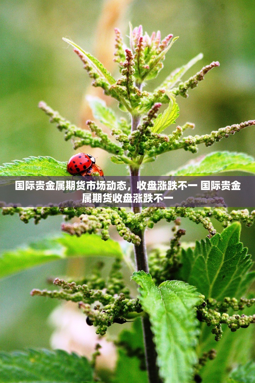 国际贵金属期货市场动态，收盘涨跌不一 国际贵金属期货收盘涨跌不一