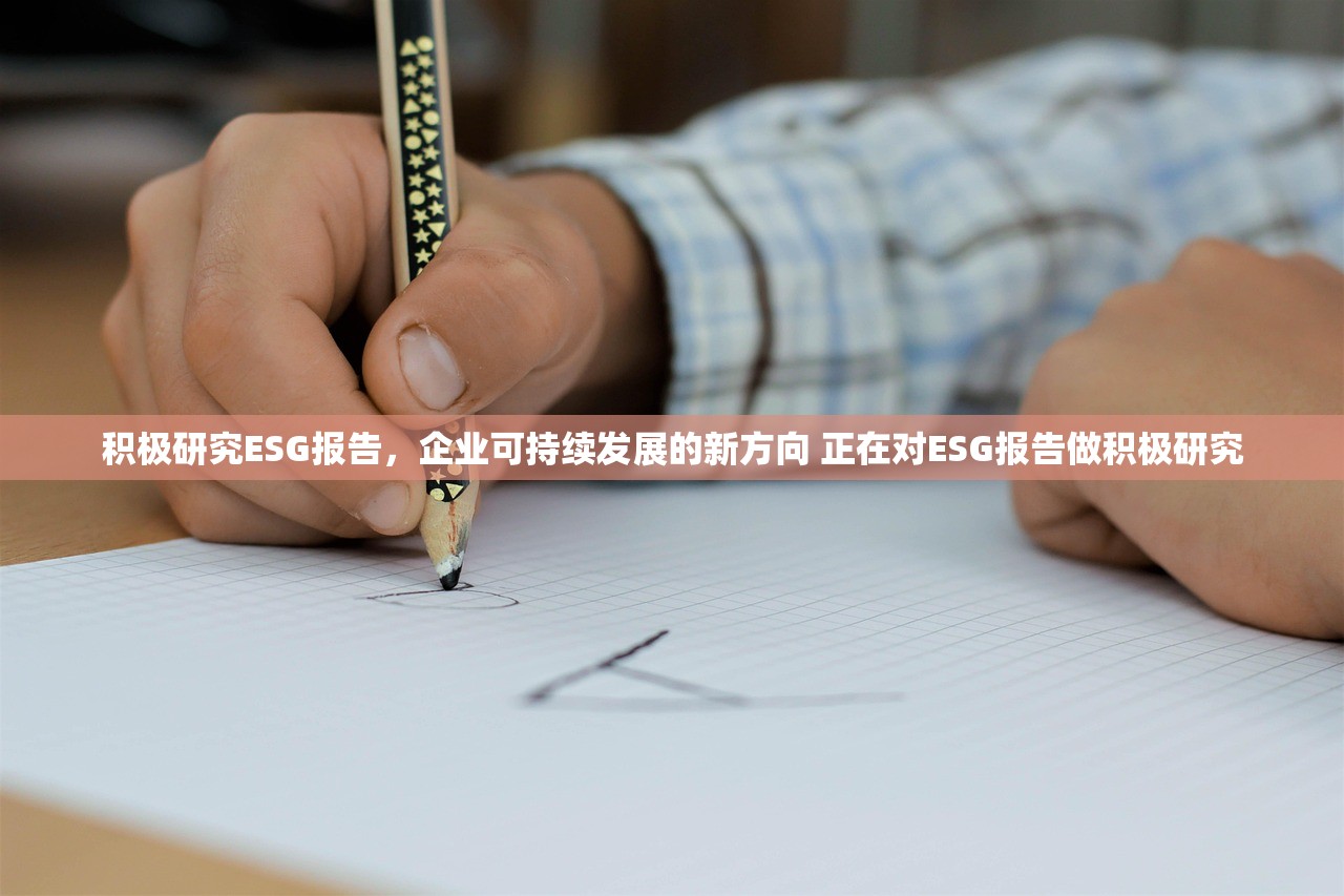 积极研究ESG报告,企业可持续发展的新方向 正在对ESG报告做积极研究 积极研究ESG报告,企业可持续发展的新方向 正在对ESG报告做积极研究