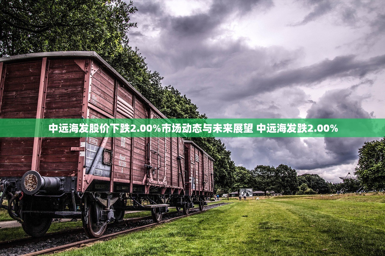 中远海发股价下跌2.00%市场动态与未来展望 中远海发跌2.00%