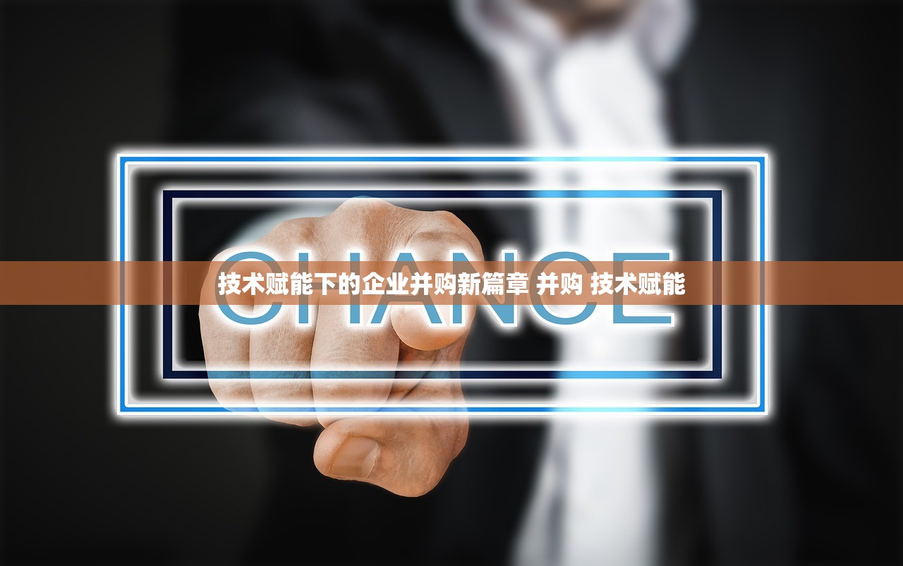 技术赋能下的企业并购新篇章 并购 技术赋能