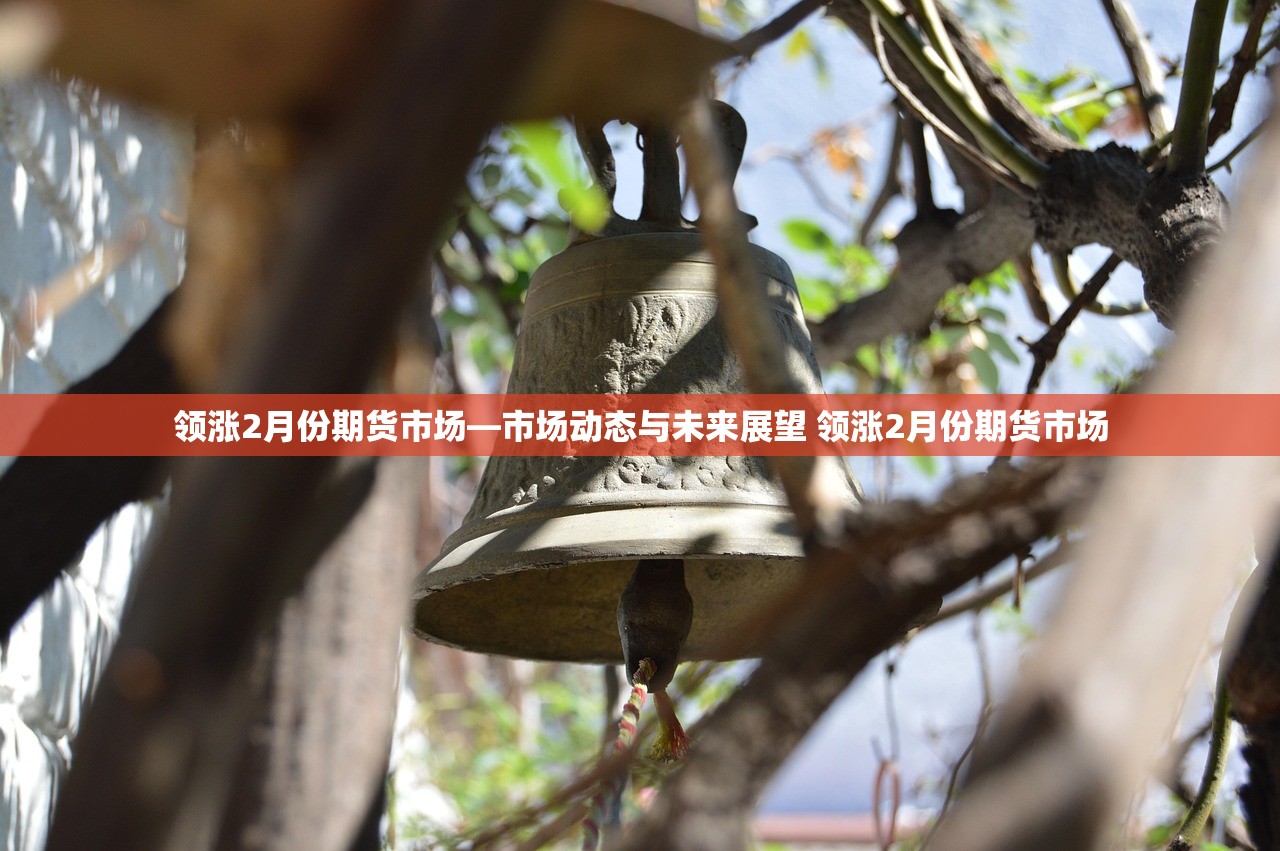 领涨2月份期货市场—市场动态与未来展望 领涨2月份期货市场