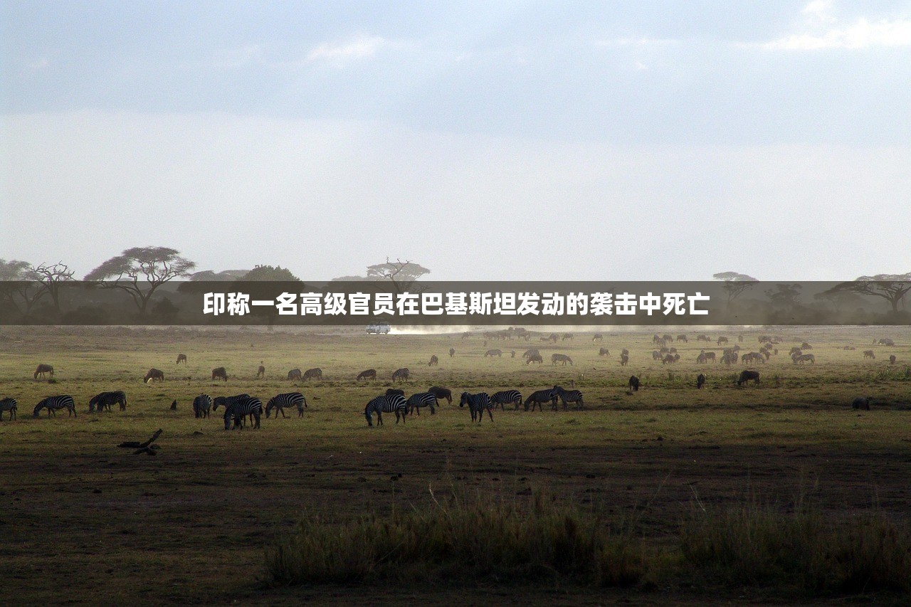 印称一名高级官员在巴基斯坦发动的袭击中死亡