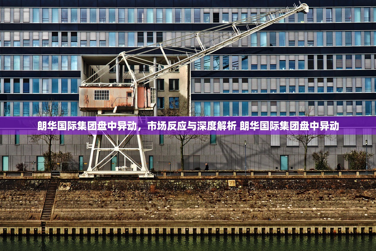 朗华国际集团盘中异动，市场反应与深度解析 朗华国际集团盘中异动