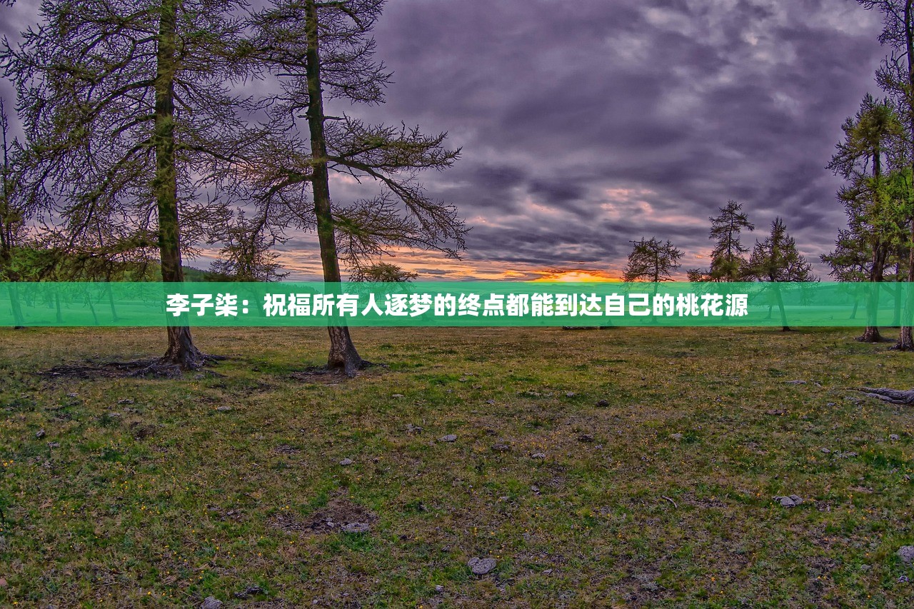 李子柒：祝福所有人逐梦的终点都能到达自己的桃花源