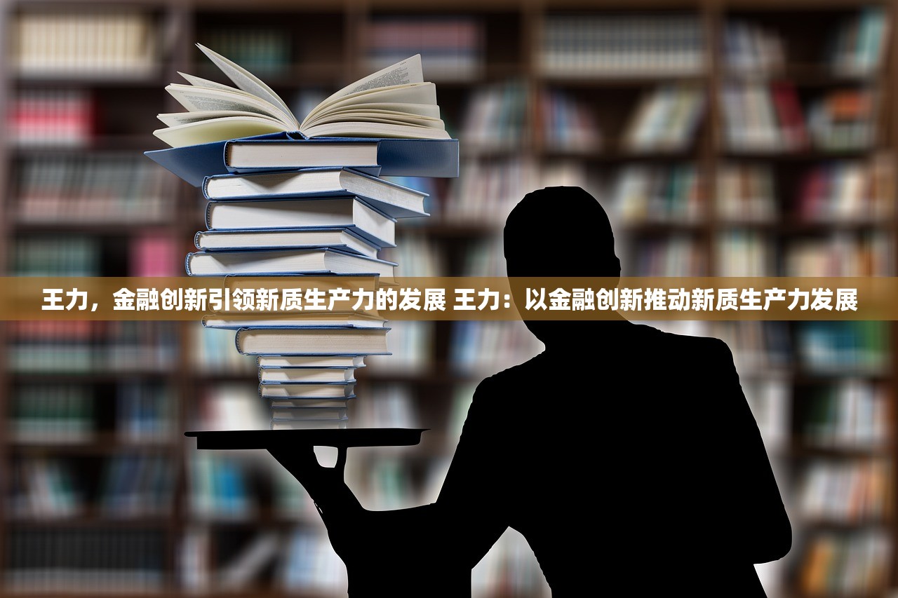 王力，金融创新引领新质生产力的发展 王力：以金融创新推动新质生产力发展