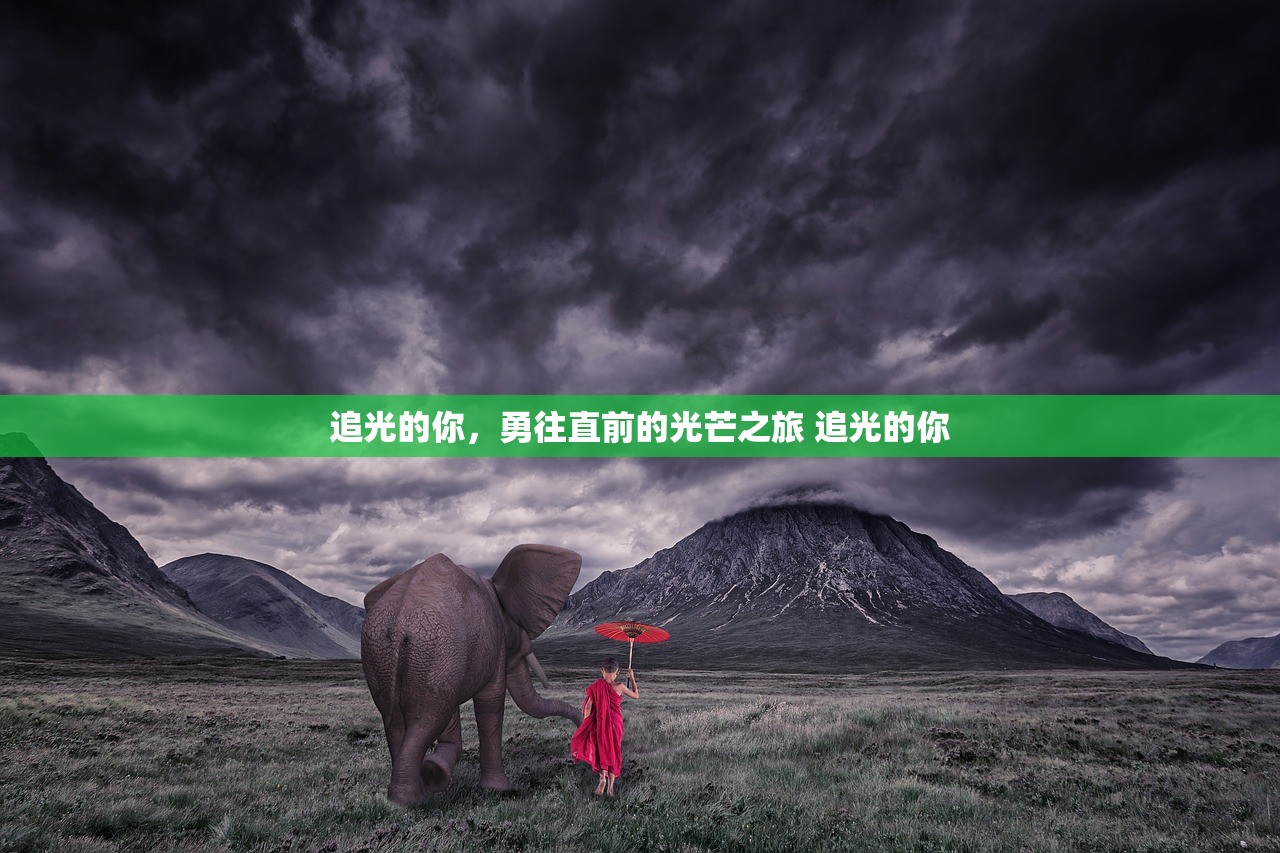 追光的你，勇往直前的光芒之旅 追光的你