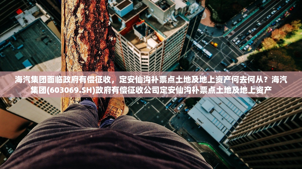 海汽集团面临政府有偿征收,定安仙沟补票点土地及地上资产何去何从?海汽集团(603069.SH)政府有偿征收公司定安仙沟补票点土地及地上资产 海汽集团面临政府有偿征收,定安仙沟补票点土地及地上资产何去何从?海汽集团(603069.SH)政府有偿征收公司定安仙沟补票点土地及地上资产