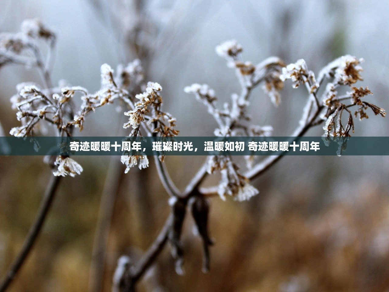 奇迹暖暖十周年，璀璨时光，温暖如初 奇迹暖暖十周年