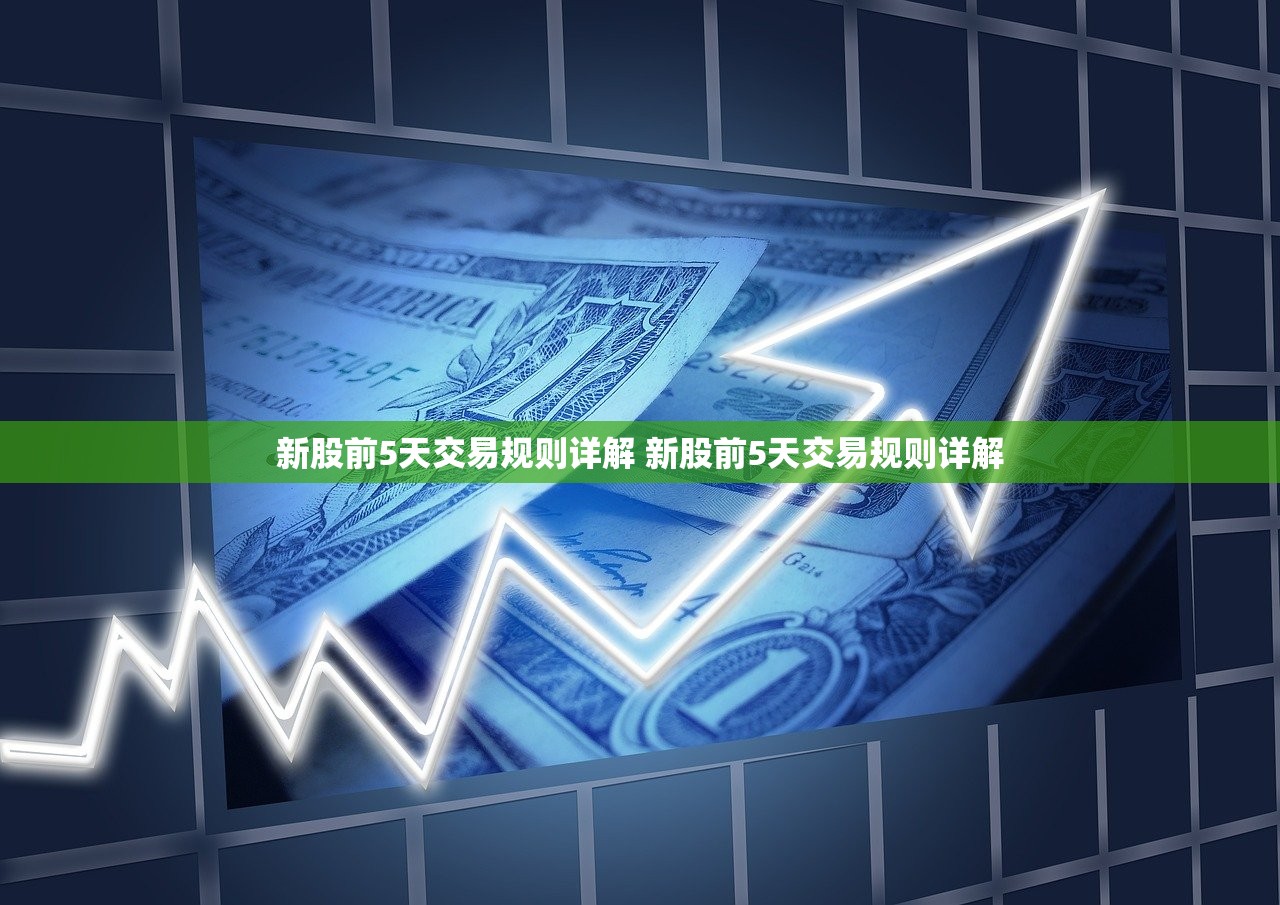 新股前5天交易规则详解 新股前5天交易规则详解 新股前5天交易规则详解 新股前5天交易规则详解