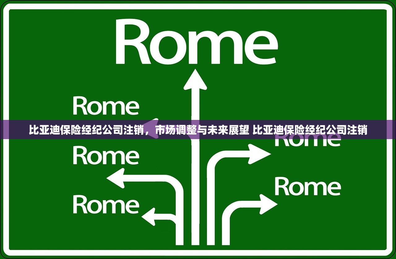 比亚迪保险经纪公司注销，市场调整与未来展望 比亚迪保险经纪公司注销