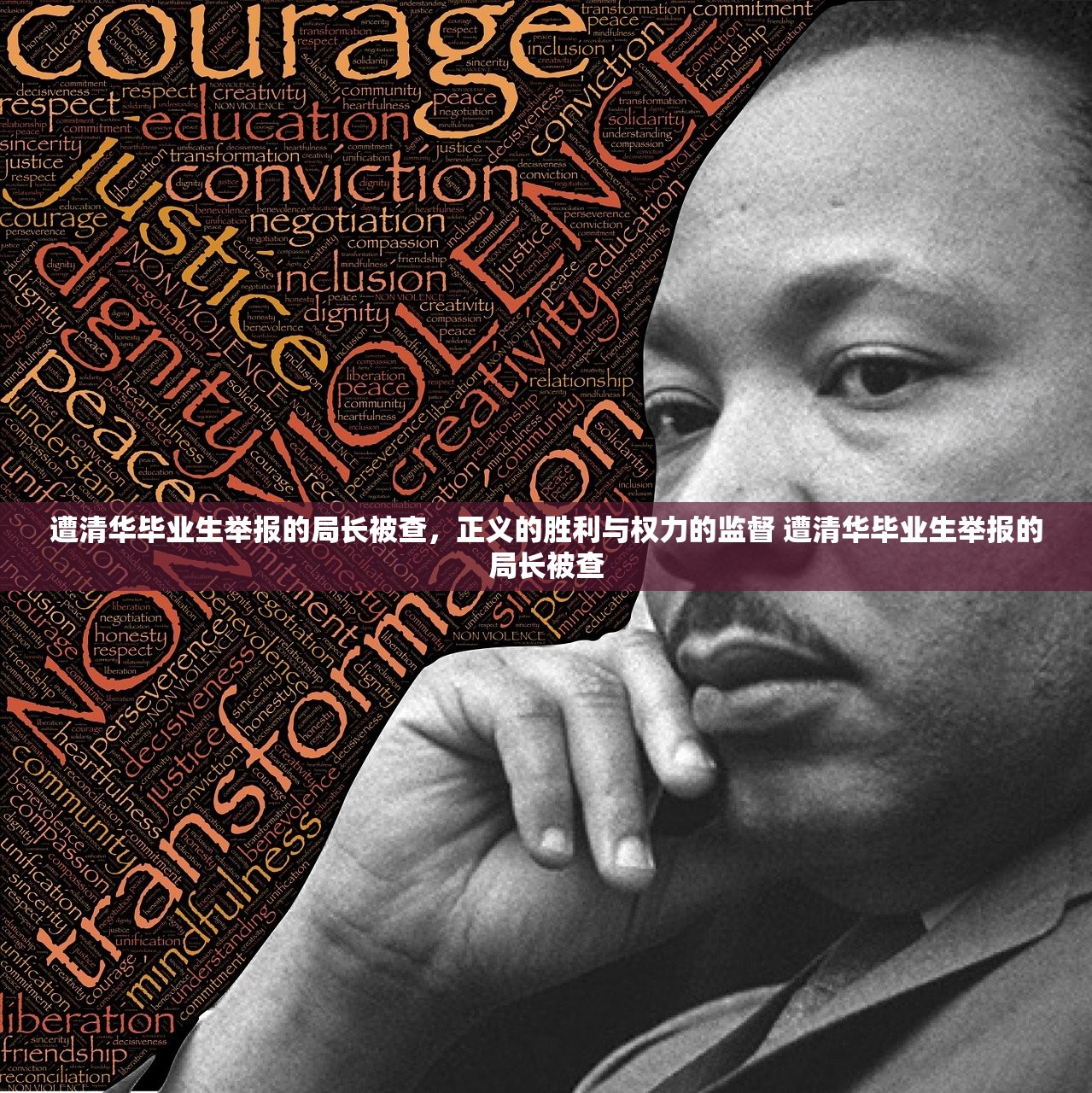 遭清华毕业生举报的局长被查，正义的胜利与权力的监督 遭清华毕业生举报的局长被查