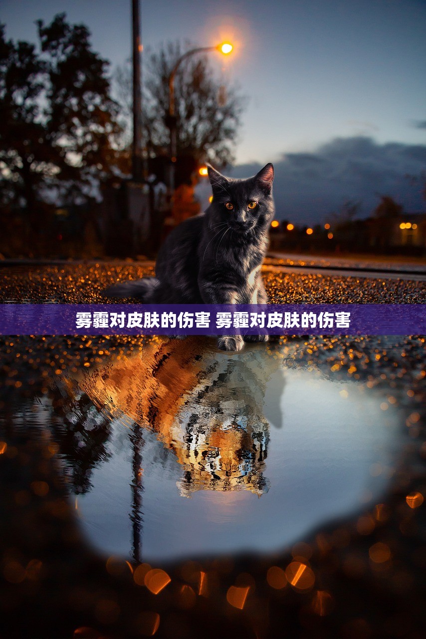 雾霾对皮肤的伤害 雾霾对皮肤的伤害