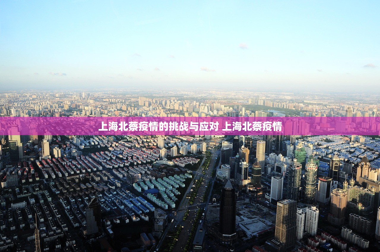 上海北蔡疫情的挑战与应对 上海北蔡疫情