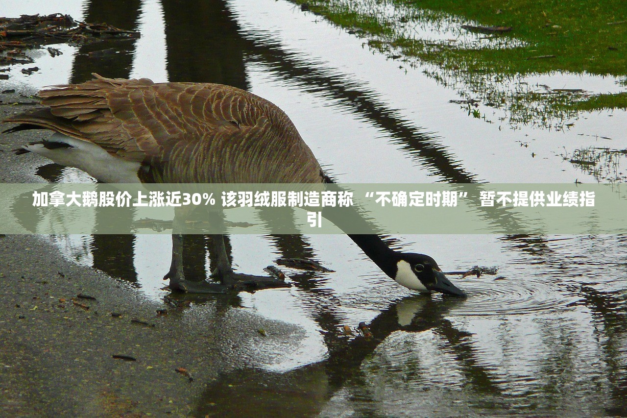 加拿大鹅股价上涨近30% 该羽绒服制造商称 “不确定时期” 暂不提供业绩指引