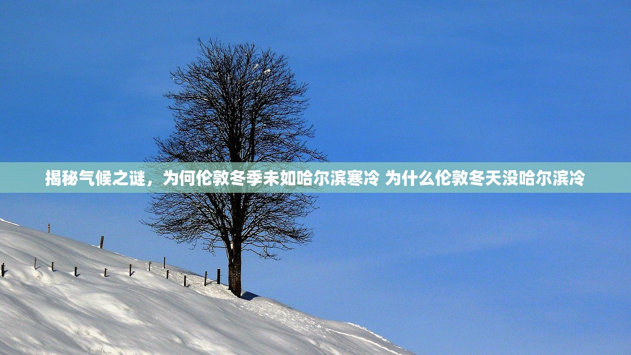 揭秘气候之谜，为何伦敦冬季未如哈尔滨寒冷 为什么伦敦冬天没哈尔滨冷