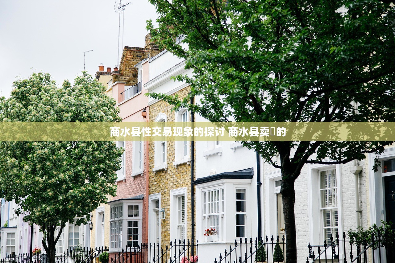商水县性交易现象的探讨 商水县卖婬的 商水县性交易现象的探讨 商水县卖婬的