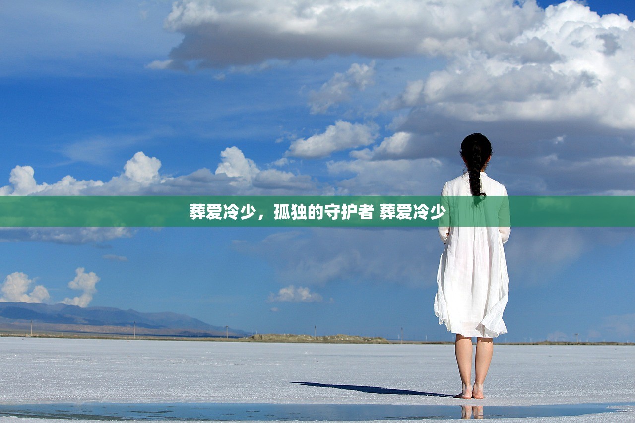 葬爱冷少，孤独的守护者 葬爱冷少