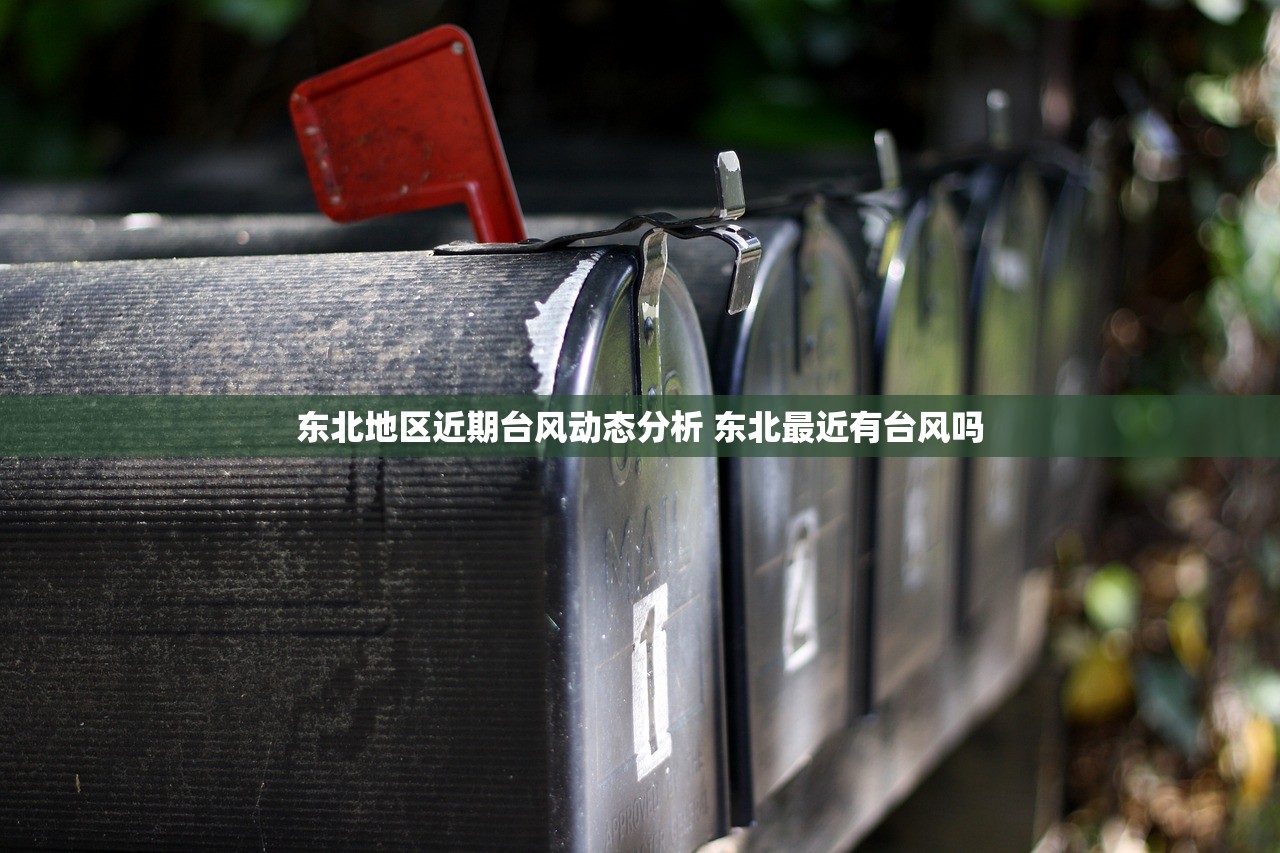 东北地区近期台风动态分析 东北最近有台风吗