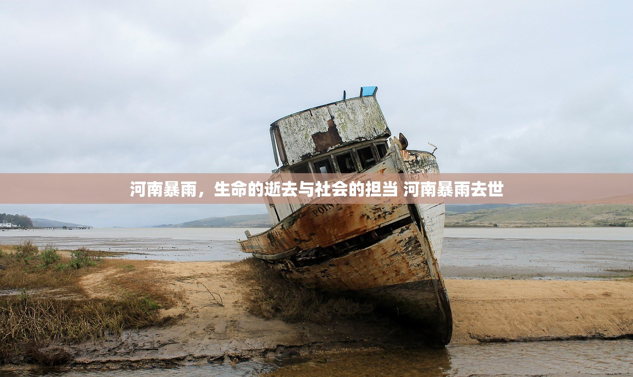 河南暴雨，生命的逝去与社会的担当 河南暴雨去世