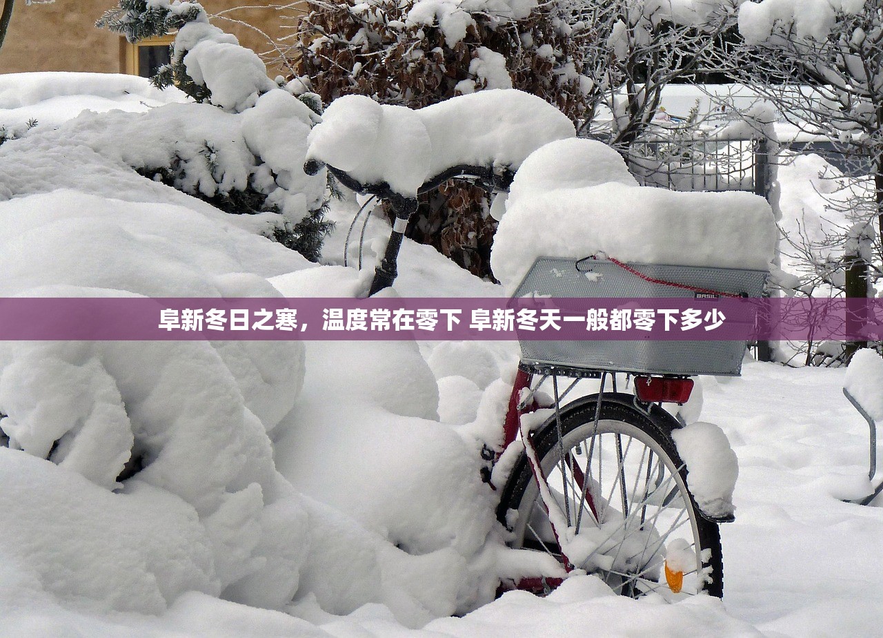 阜新冬日之寒,温度常在零下 阜新冬天一般都零下多少 阜新冬日之寒,温度常在零下 阜新冬天一般都零下多少