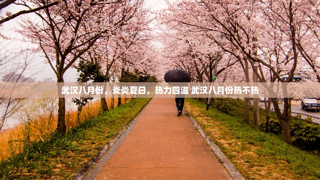 武汉八月份，炎炎夏日，热力四溢 武汉八月份热不热