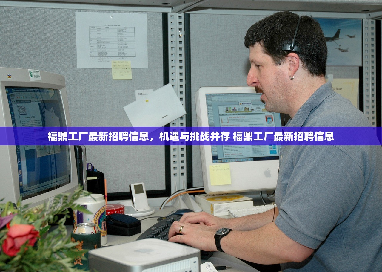 福鼎工厂最新招聘信息，机遇与挑战并存 福鼎工厂最新招聘信息