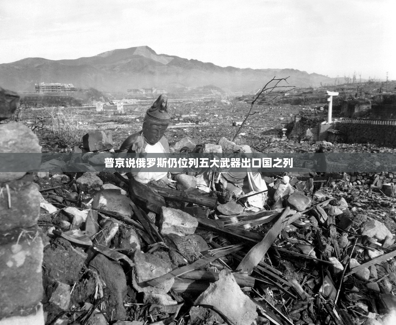 普京说俄罗斯仍位列五大武器出口国之列