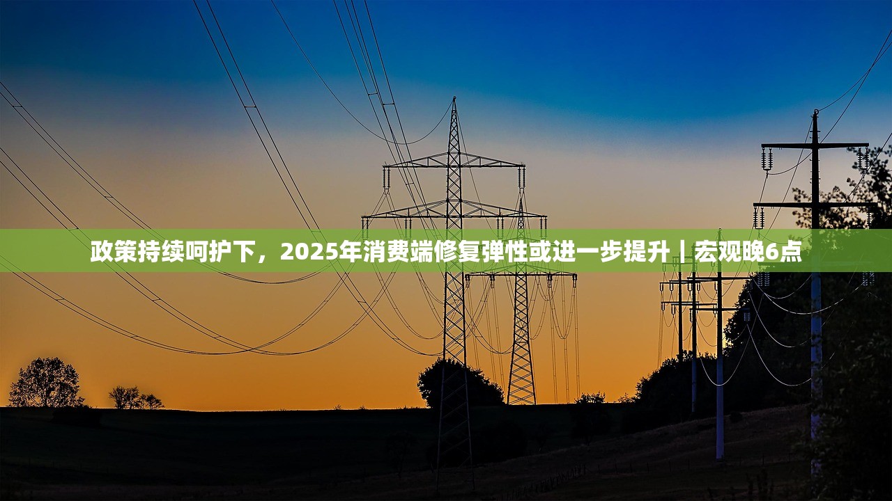 政策持续呵护下，2025年消费端修复弹性或进一步提升｜宏观晚6点